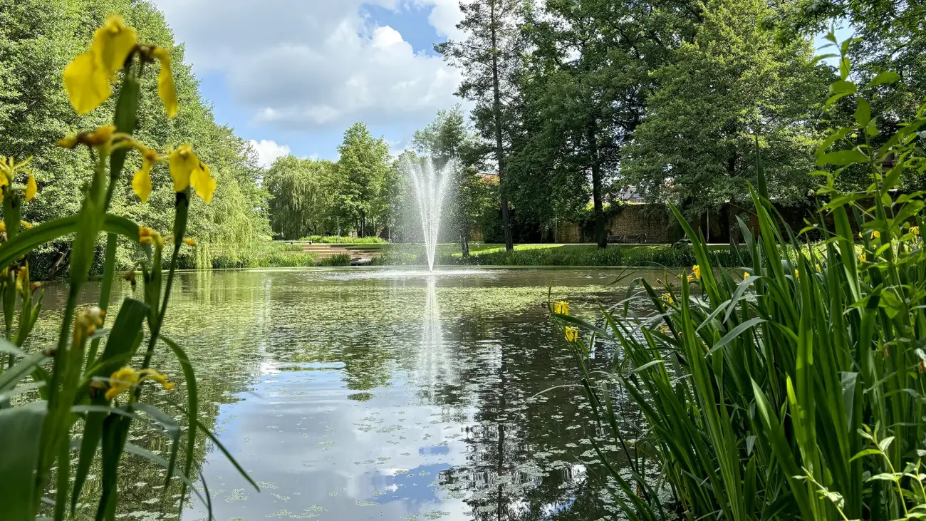 Regeneration und Erholung rund um die Vitalisklinik Bad Hersfeld