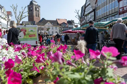Markt und Linggplatz in Bad Hersfeld